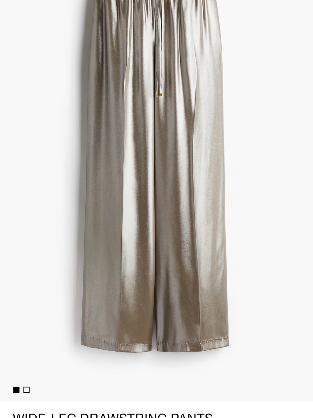 H&M Metallic Wide-Leg Drawstring Pants - Silver